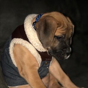 Meet your Posher, Kaleb